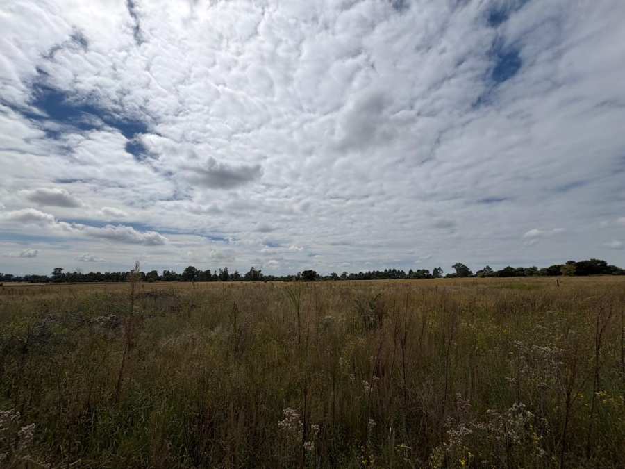 0 Bedroom Property for Sale in Vaalpark Free State